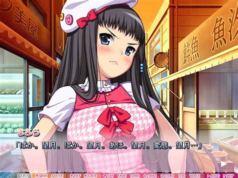 eroge h game